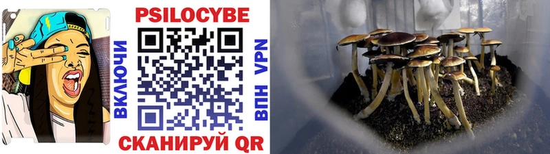 Галлюциногенные грибы ЛСД  Абинск 